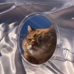 Meet your Posher, Diana